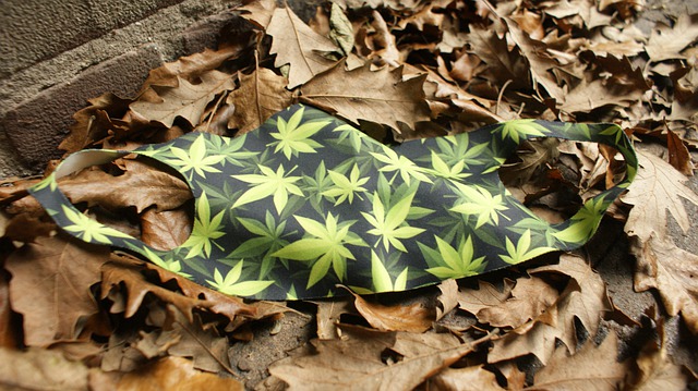 Plastic mondkapje